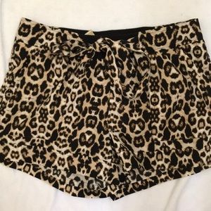 Leopard shorts